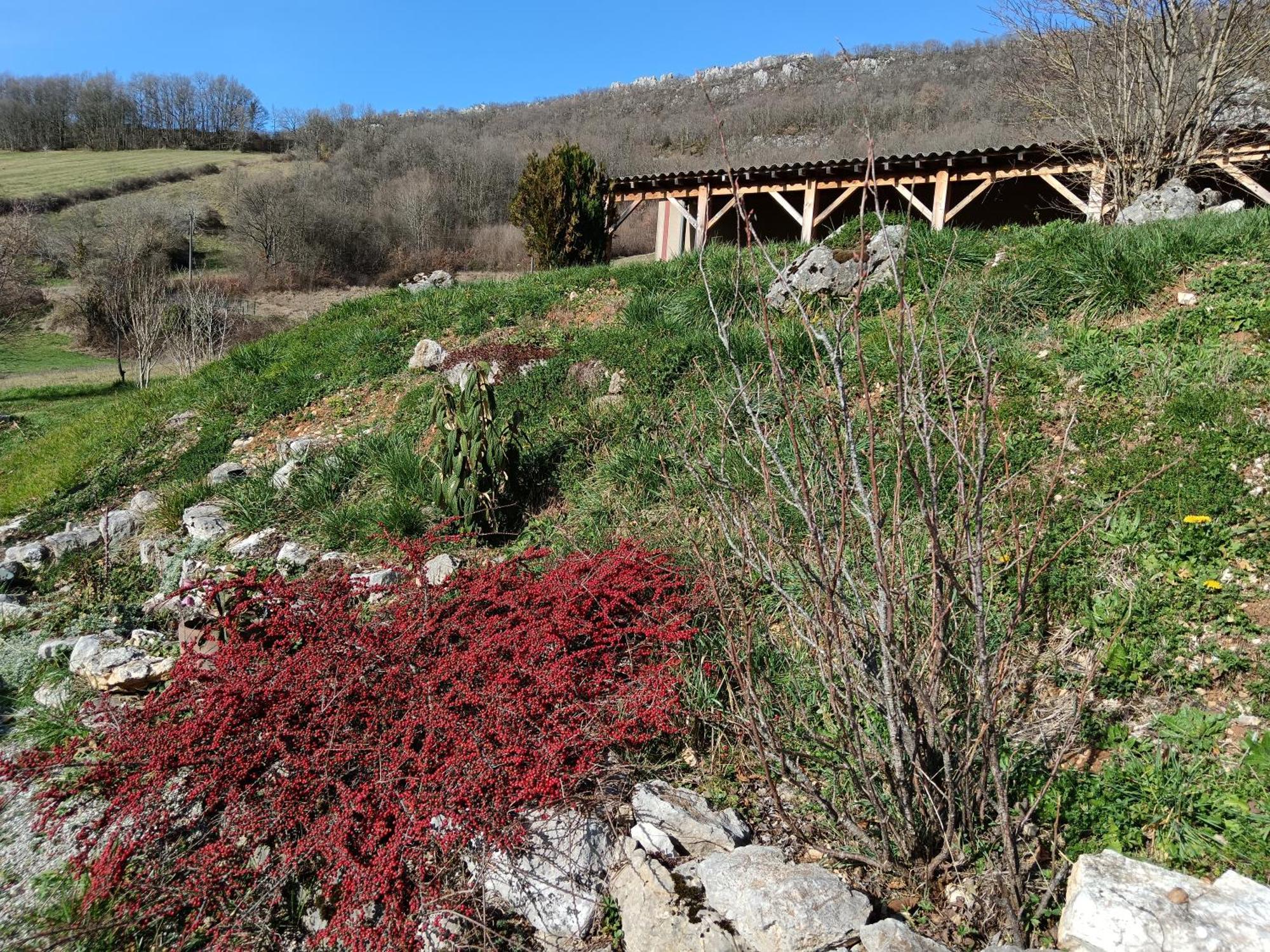 Maison Chaleureuse En Ariege Roquefort-Les-Cascades Dış mekan fotoğraf